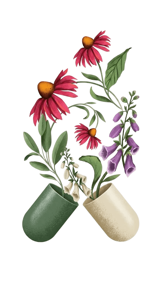 Botanical flowers growing from two open capsules